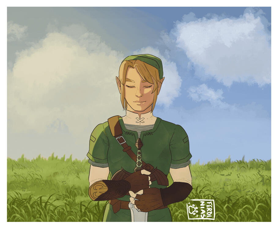 Illustration of Link from Twilight Princess